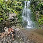 Avalanche Du Rock منزل للإقامة *