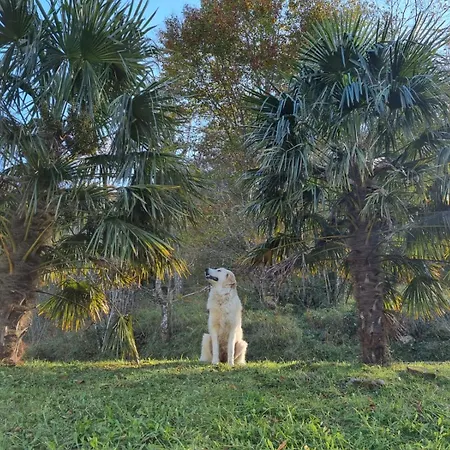 Avalanche Du Rock Ubytování v soukromí *