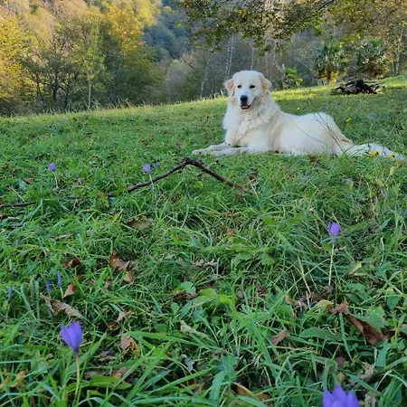 Avalanche Du Rock Ubytování v soukromí