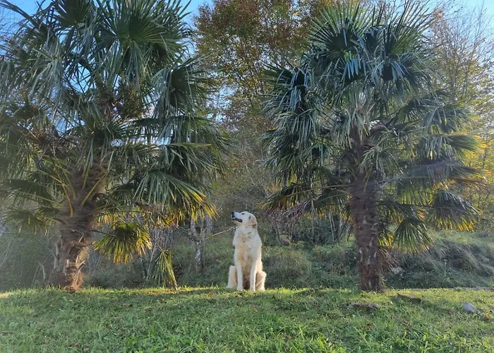 Avalanche Du Rock Accommodatie bij particulieren *