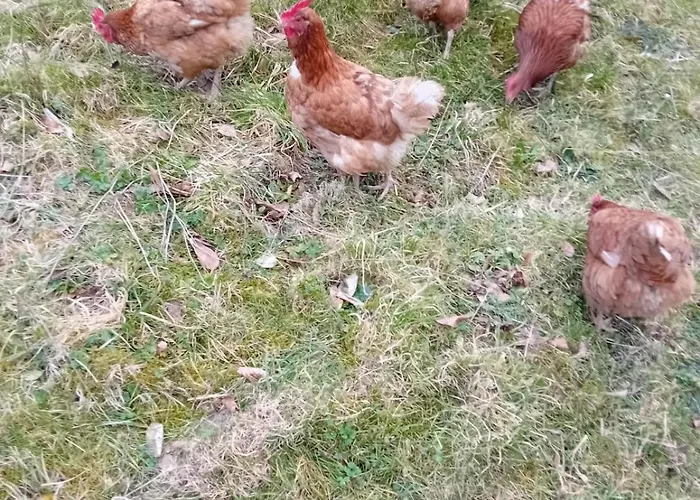 Avalanche Du Rock Lourdios-Ichere